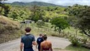 Monteverde - Hiking in the nature. Ziplining. - Monteverde