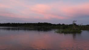 Reserva de producción de Fauna Cuyabeno - Pink dolphins most of all - Sunset on Amazon River