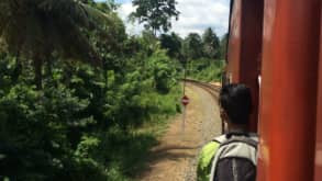 Habarana - Go on an Elephant Safari in one of the national parks and take in highlights of the Cultural Triangle such as Sigiriya - Cross-country train travel in Sri Lanka