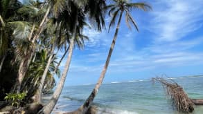 Puerto Viejo de Talamanca - null - null