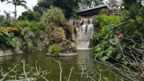 Basse-Terre - Nature : hiking on the volcano, going in to waterfalls - Deshaies