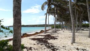 Le Moule - Beach time - Terre de bas