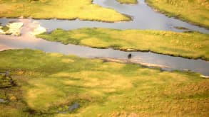 Okavango Delta - Flight over Okavango Delta - null