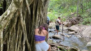 Kaanapali - See the waterfall - null