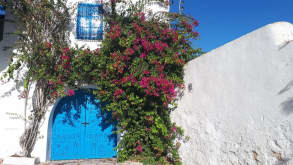 Tunis - null - Sidi Bou Said