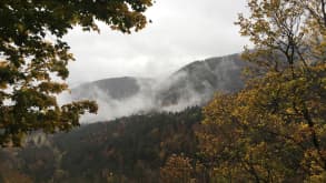 Rue du Couvent - Architectural visits - Landscapes of Vosges