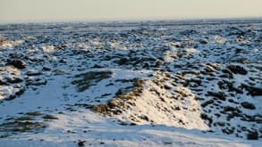 Fjaðrárgljúfur - amazing canyon - Eldhraun lava field