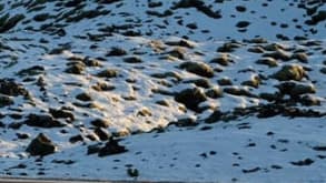 Fjaðrárgljúfur - amazing canyon - More of Eldhraun lava field
