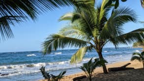 Puerto Viejo de Talamanca - National park and beach - Manzanillo beach