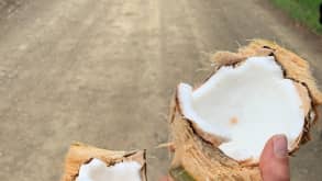 Uvita - Vacation - Fresh coconut!