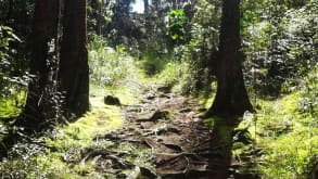 Arví Park Medellin Colombia - Escape to nature! - null