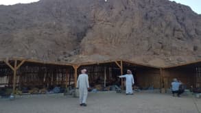 Sharm El-Sheikh - camel riding, bedouin village, quad biking through desert - beduines