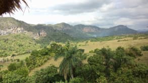 Vinales - null - null