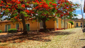 Trinidad - null - null