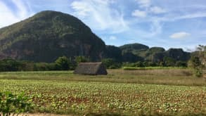 Vinales - null - null