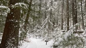 Olympic National Park Visitor Center - Hiking and tubing in the snow - null