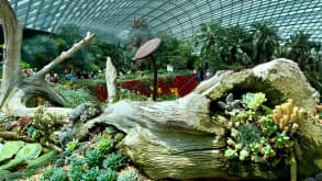 Singapore - Iconic architecture, exotic wildlife, interesting museums and amazing food like Singapore street noodles in Hawker Centers - Flower Dome