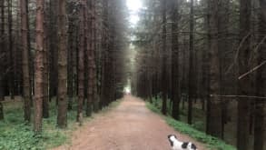 Monzuno - The reason is to walk trought The Way of God to enjoy the amazing landscapes. - null