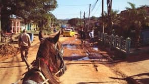 Vinales - Nature, Coffee and Tabacco Plantations - Right before going up the Valle de Vinales on a horse carriage