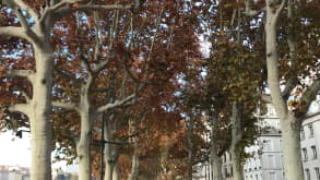 Lyon - You no longer have to think whether to choose the famous Parc de la tête d'or Lyon France. My Lyon France itinerary has both. - null