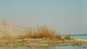 Dead Sea - Nature, dead sea, desert - null