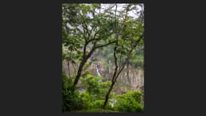 Cataratas del Iguazú - Family holidays. - null