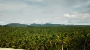 Siargao Island - Siquijor Philippines witchcraft, surfing in Siargao and diving in Apo Islands diving - null