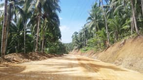 Siargao Island - Siquijor Philippines witchcraft, surfing in Siargao and diving in Apo Islands diving - null