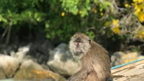 Phi Phi Islands - Beach Time - Monkey Beach