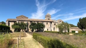 Saint-Rémy-de-Provence - null - null