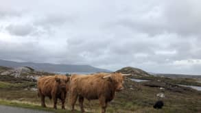 Skye - Living out the Outlander fantasy - The local residents