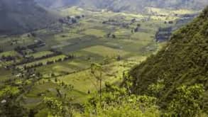 Mindo Valley - The flora and the fauna is a ultimate experience of a super diversed contry - null