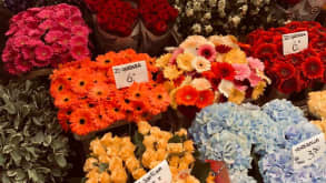 Amsterdam - Amsterdam is a must - Flower market !