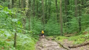 Lilienstein - Nature - null