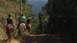 Juayua - farms and hikes - null