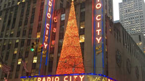 Midtown Manhattan - A Giant Christmas tree, crowded department stores, and Broadway shows! - null