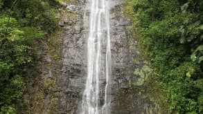 O‘ahu - Mele Kalikimaka! - Manoa Falls