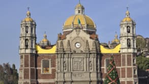 Basilica of Our Lady of Guadalupe - Finding connection - null