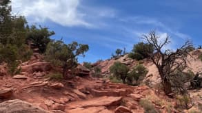 Island in the Sky - We wanted to try to see if we could catch the essence of this district in one hiketrail, and catch some views with the car. - null