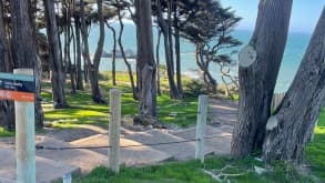 Sutro Baths - beautiful sight and an interesting backstory (plus a great hike). - The nearby trees that look so magical