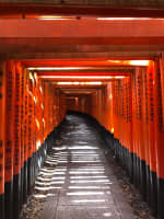 Fushimi Inari