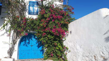 Sidi Bou Said