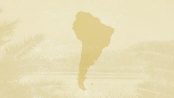 Brasil dream