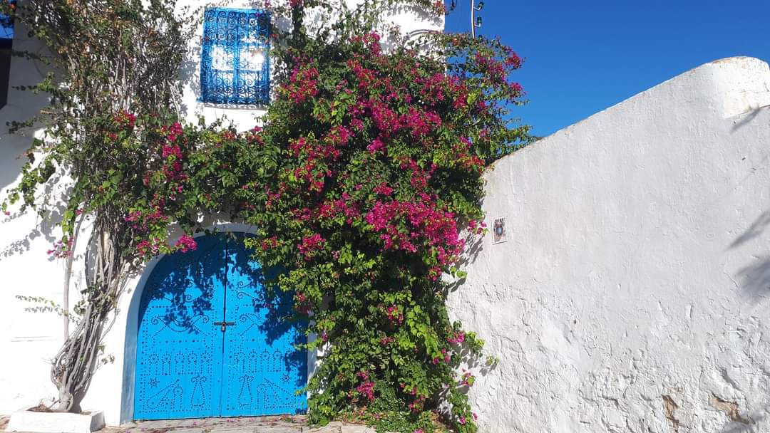 Sidi Bou Said