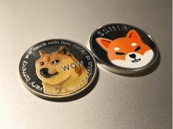 ATNET Blog - Shiba Inu Coin by 2025 - Fundamentals and Predictions