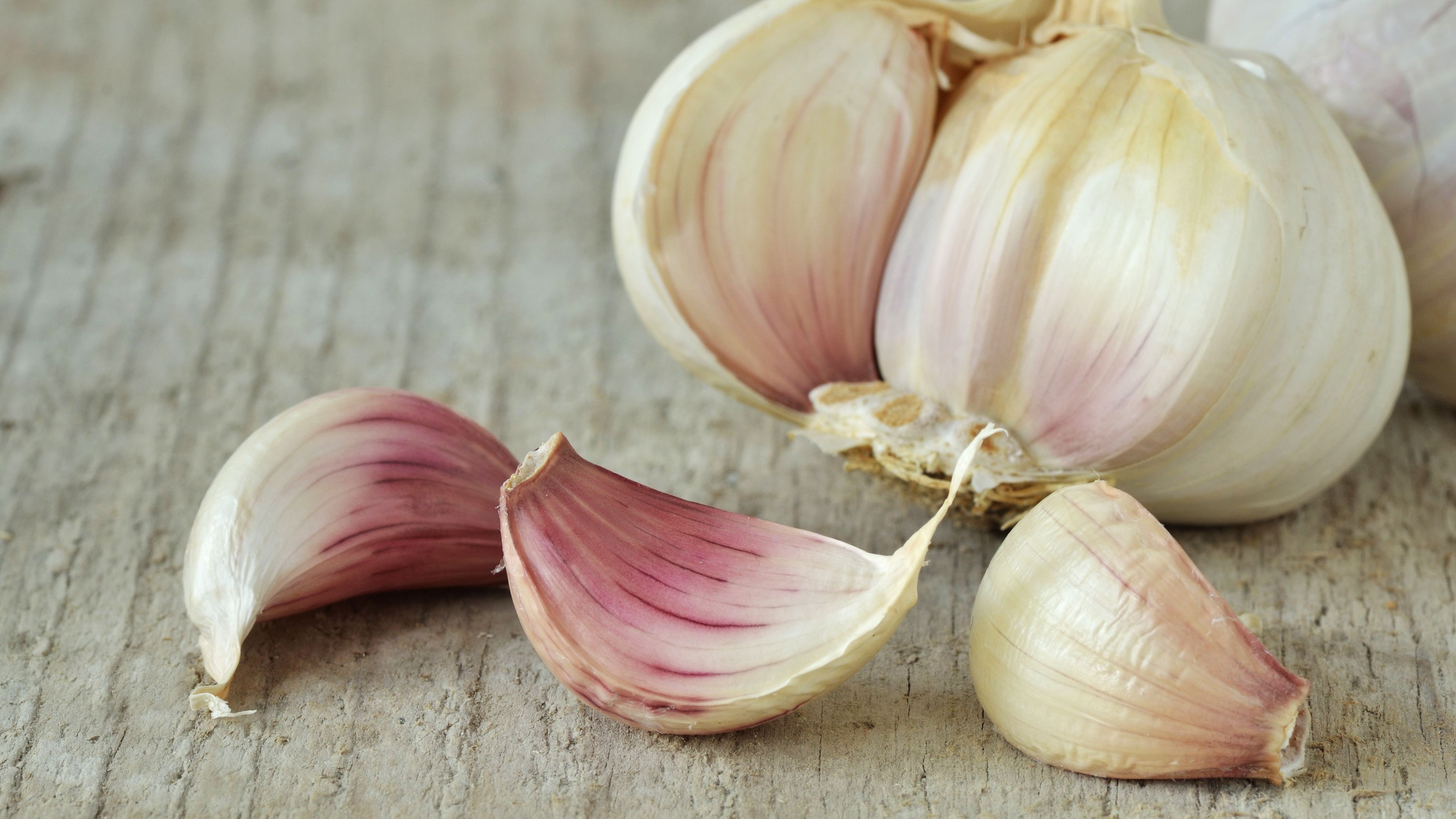 Garlic