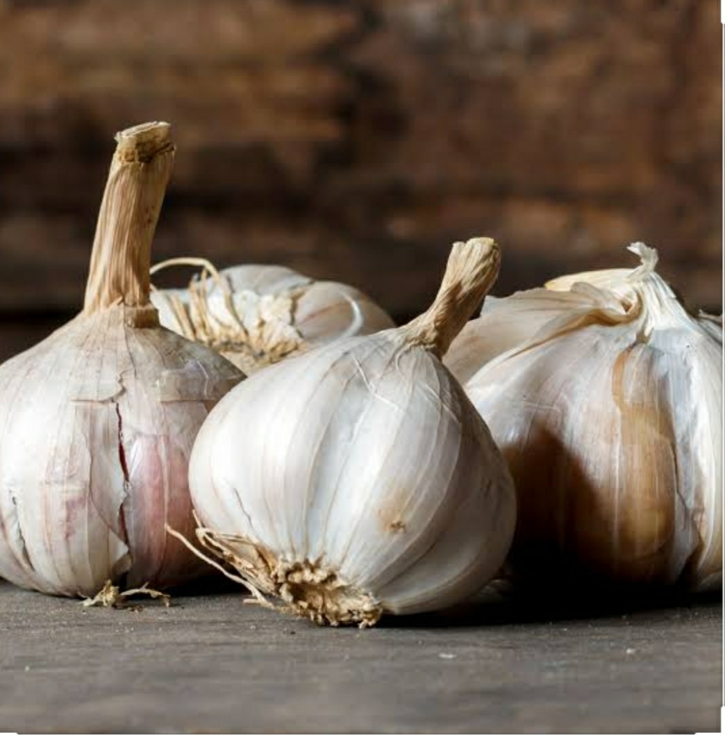 Garlic.