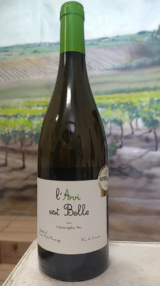 Image de "L'Avi est Belle", Blanc, 2024, Christophe Avi, VdF Sud Ouest,                                                                                                                                                                                                                     ………  23,10$ / Bouteille
