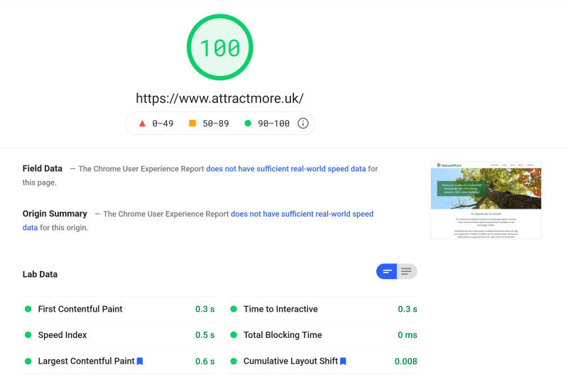 Example output from Pagespeed Insights