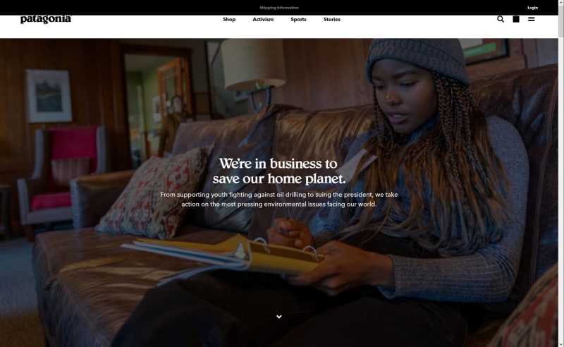 eCommerce site, Patagonia, has a brand identity that focuses on sustainability and activism to make themselves distinct.